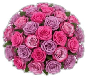 Pembe-Mor