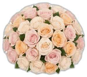 Pastel Karışım